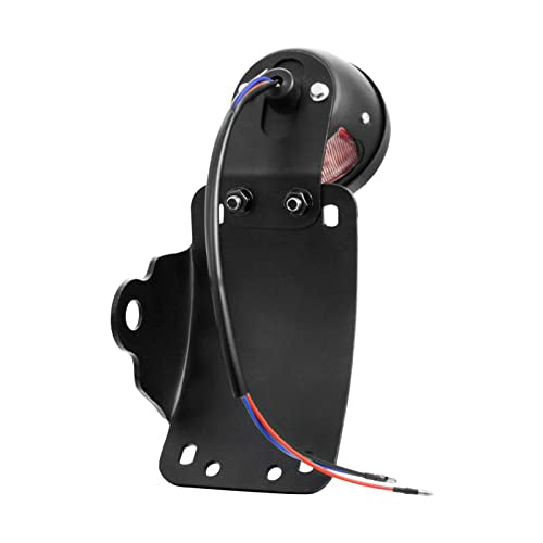 Amazicha 1" Motorcycle LED Tail Brake Light with Bracket, IP67 Waterproof Motorcycle Side Mount License Plate Rear Light Compatible for Harley Sporster Bobber Chopper Yamaha Suzuki Honda Kawasaki - size: 1inch, style: Curved
