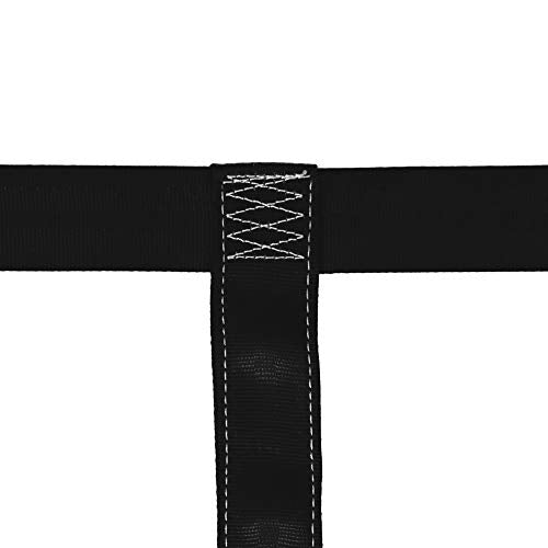 Motorcycle Rear Wheel Tie Down Strap, 2200lbs Break Strength Universal Motorcycle Tie Down Strap in Black - color: Black