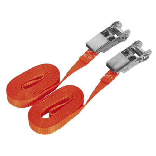 Sealey Td08045E Self-Securing Ratchet Tie Down 25Mm X 4.5Mtr 800Kg Load Pair