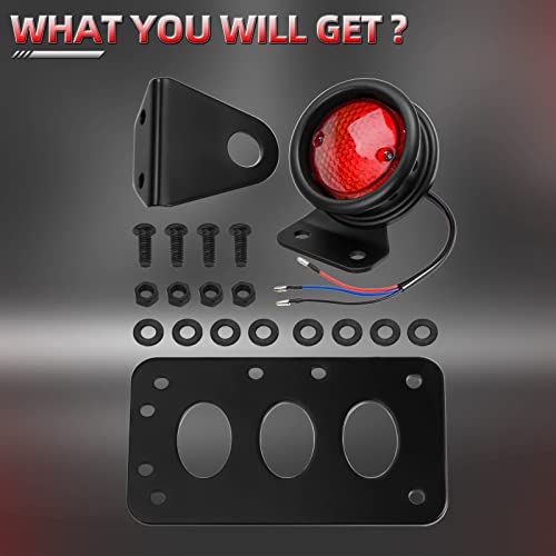 Amazicha LED Tail Rear Light 3/4" Axle Hole Side Mount License Plate Bracket Brake Light Motorcycle Compatible for Harley Honda Yamaha Suzuki Chopper Bobber - size: 0.75inch, style: Flat