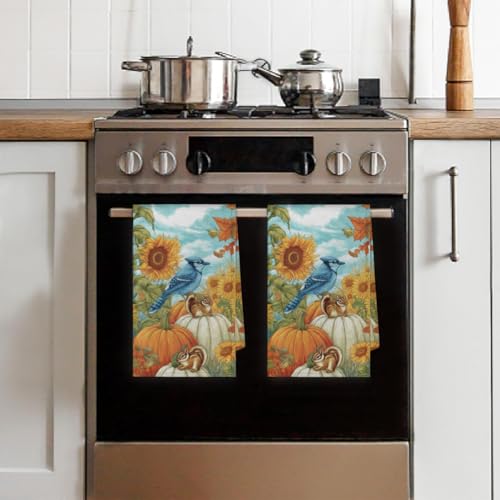 Sunflower Birds Kitchen Towels Set of 2 Autumn Pumpkin Squirrel Dish Towels Bar Absorbent Cleaning Tea Towel for Home Dining Restaurants - color: Sunflower Birds Autumn Pumpkin Squirrel