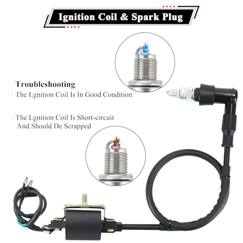 50cc Dirt Bike Wiring Harness Complete Kit with Full Wave Regulator A7TJC Spark Plug for 49cc 50cc 70cc 90cc 110cc 125cc Chinese Dirt Pit Bike with 4-Stroke Engine - style: ZMBWH004YFJ