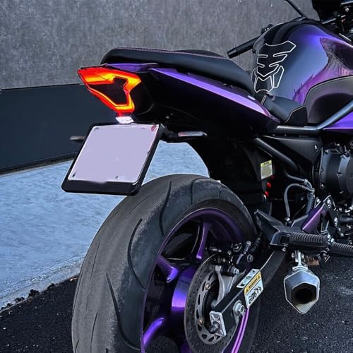 Motorcycle Brake Light Tail Lamp with LED Turn Signals Replacement for Yamaha YZF R3 R25 Y15ZR MT07 FZ07 LC150