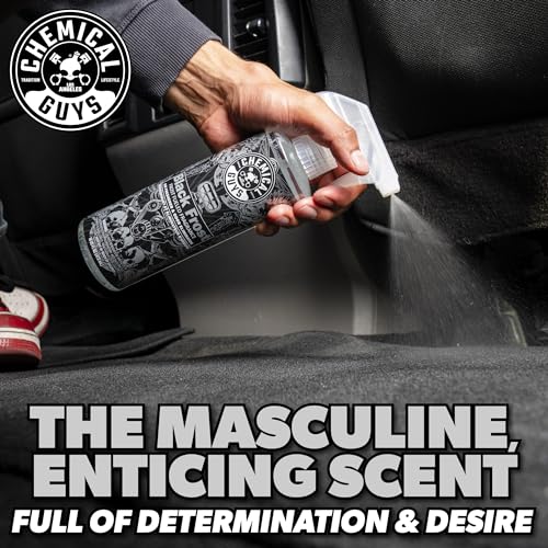 Chemical Guys Black Frost Air Premium Car Air Freshener Spray & Odor Eliminator - Crisp Masculine Scent Spray for Trucks, SUVs, RVs, and Motorcycles - Use in Home, Office, or Garage, 16 oz Bottle - size: 1 Count (Pack of 1)
