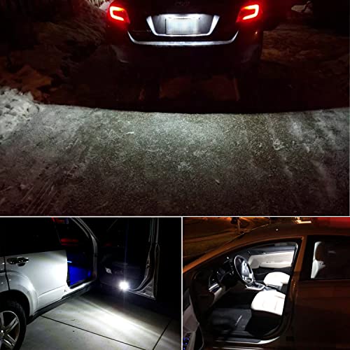 PHINLION 194 LED Light Bulb 6000K White Super Bright 168 175 2825 W5W T10 Wedge 6-SMD 3030 Chipsets LED Bulbs for Car Interior Dome Map Reading Trunk Courtesy License Plate Lights, Pack of 2 - color: White