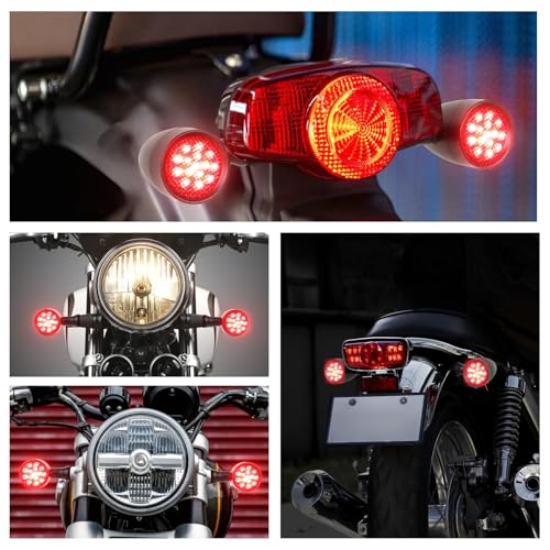 Rich Choices 2pcs Black 15 LED Motorcycle Stop Brake Running Turn Signal Indicator Red Lights Compatible with Harley Honda Chopper (Black with net-Red Light) - color: Black with net-Red Light