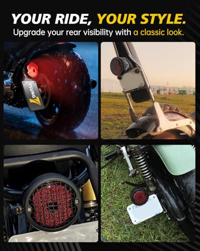 TSUNG Motorcycle LED Tail Light Grille with License Plate Light Rear Brake Stop Light Custom Taillight Compatible with Bobber Chopper Cafe Racer Cruiser Sporster 883 Rebel 500 Shadow (Mesh) - color: Mesh