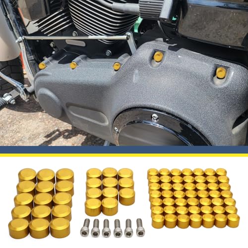 Motorcycle Bolt Covers Engine Bolt Toppers Caps Kit Fit for Harley 2007-2016 Touring Road Glide Street Glide Road King Electra Glide FLT FLH (Gold) - color: Gold