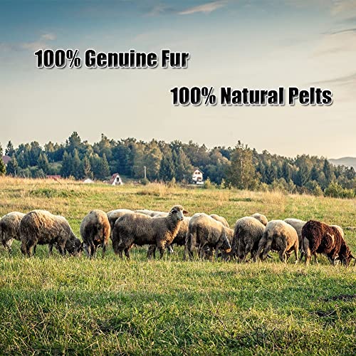 Real Genuine Sheepskin Rug Natural Fur Rug Sheep Skin Rugs Full Sheepskin Rugs Authentic Sheep Skin Throw Lambskin Seat Covers for Chairs Wool Seat Pad Cushion (2.3X3.28 ft) - color: 5