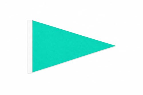 AGAS 12x18 Inch Bike Safety Flag – Fluorescent Teal (808C Emerald Breeze) High Visibility Bicycle Flag with Sleeve – 5mil Plastic Pennant – Fits 6ft Fiberglass Whip Rod (0.25”) – Kids & Trailer Safety Flag – Flag Only - color: FLUORESCENT TEAL