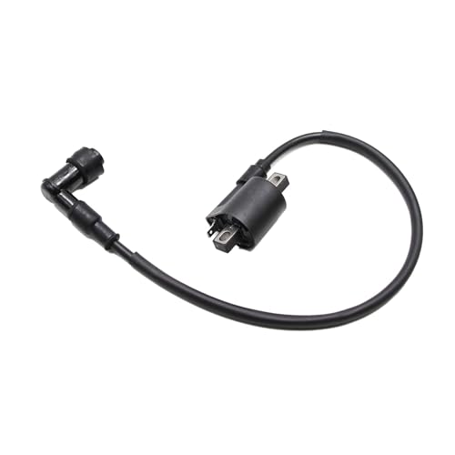 PRO BAT ATV Quad Complete Electrics AC Wire Harness Kit with CG-8 Stator 6-Pin AC CDI ATV Switch Ignition Coil Solenoid Relay Spark Plug for 150cc 200cc 250cc 300cc Zongshen Lifan Black - style: B 8 Pole+ B Ignition Coil+B Rectifier