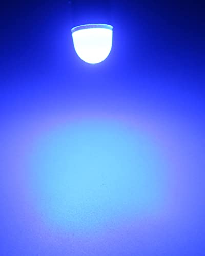 Keiurot 1893 Led Bulb 1895 1815 1816 53 57 Bulb BA9S Led Bulb for Indicator Lights Car Dome Map Trunk License Plate Courtesy Step Light Blue DC 12V, 10-Pack - color: Blue BA9S Led Bulb