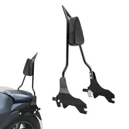 Wsays 24.5" Tall Sissy Bar Detachable Rear Passenger Backrest Quick Release Compatible with Harley Softail FLSB,FXLR,FXLRS and FXLRST 2018-2025, Gloss Black