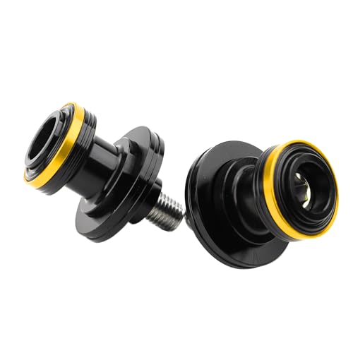 Compatible with 450MT 450NK 450SR 800MT 675SR-R 675SR 700CLX 650GT 800MT-X 650NK Motorcycle M10 Swingarm Spools Rear Stand Screws Sliders (Gold) - color: Gold