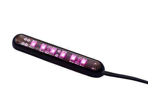 Oznium LED Modules (Straight Black, Pink LED) - color: Pink LED, size: Straight Black