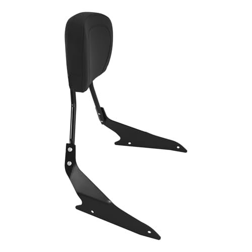 SLMOTO Detachable Sissybar Sissy Bar Backrest Fit for Suzuki Boulevard M109R Models 2006-2023 - color: for Suzuki Boulevard