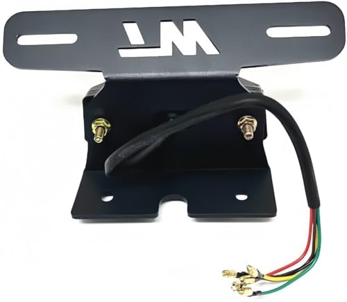 TW200 Fender Eliminator Kit - Tail Tidy Compatible with 1989-2024 TW 200 - License Plate Bracket with Rear Tail Brake Light (Smoke) - color: Smoke