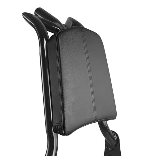 Adjustable Sissy Bar Passenger Detachable Backrest Fits for Harley Touring Street Glide Road Glide Road King Electra Glide 2009-2024 Gloss Black (09-24 M-Style) - color: 09-24 M-Style