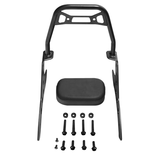 SLMOTO Motorcycle Detachable One-Piece Rear Passenger Sissy Bar Backrest Pad Fit For Honda Rebel CMX250 CMX300 CMX500 2017-2024 Black - color: For Honda Rebel