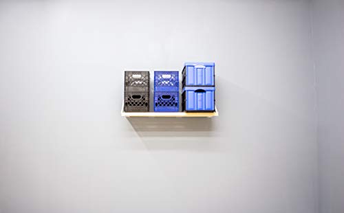Rhino Shelf RhinoMini Universal Garage Storage Kit - 4 feet - size: 4-ft Length x 20-in Depth
