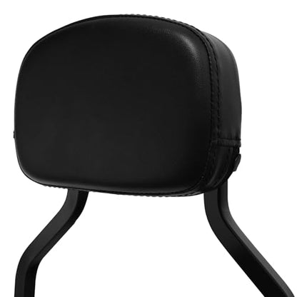 TCT-MOTORPARTS Black Detachable Passenger Backrest Sissy Bar Fit For Harley Nightster RH975 2022-2025 Nightster Special RH975S 2023-2025