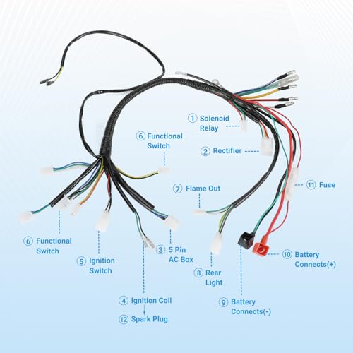 EOPOAYI Electric Wiring Harness Kit Compatible with Taotao Coolster 110cc 125cc Chinese ATV Quad 4 Wheeler 4-Stroke Parts with Starter Solenoid Relay Ignition Coil Voltage Regulator CDI Box Spark Plug
