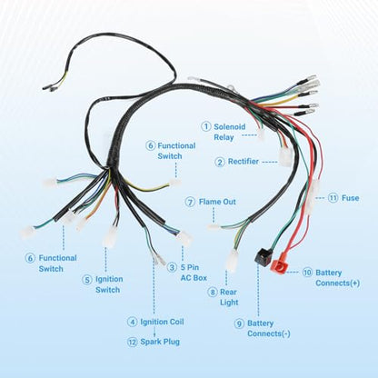EOPOAYI Electric Wiring Harness Kit Compatible with Taotao Coolster 110cc 125cc Chinese ATV Quad 4 Wheeler 4-Stroke Parts with Starter Solenoid Relay Ignition Coil Voltage Regulator CDI Box Spark Plug