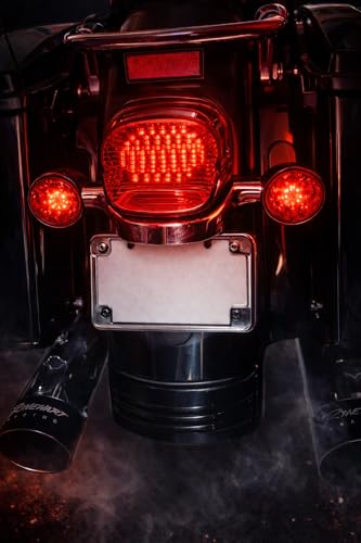 Eagle Lights Red Strobing LED Tail Light Upgrade for Harley Davidson - No Window - color: Red with No License Plate Window