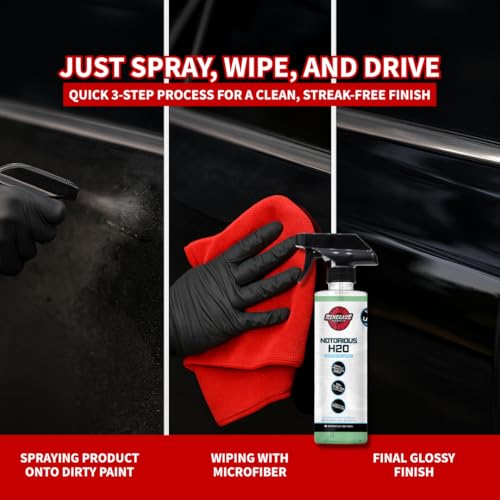 Renegade Products Notorious Waterless Wash for Auto Detailing Scratch Free Clean Mint Scent 16 oz
