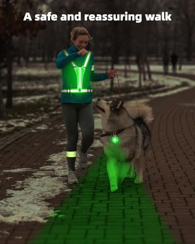 LED Reflective Vest Safety Gear, High Visibility Reflective Running Gear for Dog Walking Running Cycling, Adjustable for Men Women Kids - Reflective Armband and Dog Light with USB Rechargeable - style: Vest and silicon rubber Pet light