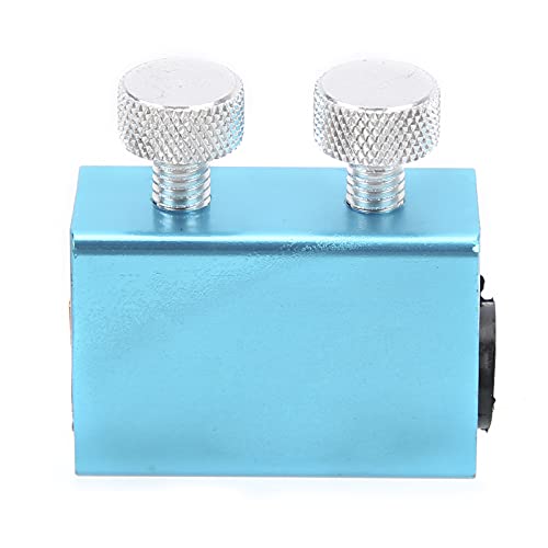 Chain Lubricant for Motorcycle ATV Aramox Tool Kit with Aluminum and Rubber 42g for Chain Maintenance - color: Blue Gold