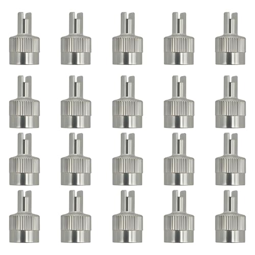 20 PCS Tire Valve Stem Caps, Nickel-Plated Metal Tyre Dust Caps with Valve Core Remover, Universal Slotted Slot Stem Covers for Schrader Cars Trucks Motorcycles Bicycles - color: 20 PCS