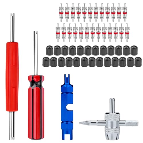 56Pcs Valve Stem Removal Tool, Valve Cores, 4-Way Valve Tool, Valve Core Remover Tool, Valve Stem Caps