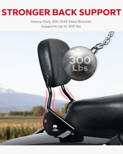 Amazicha Passenger Backrest Sissy Bar, Quick Release Sissy Bar Backrest Fit for Harley Davidson Touring Street Glide Road King Road Glide Electra Glide 2009-2024, Black