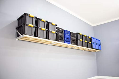 RhinoMini Universal Garage Storage Kit - 16 feet White - size: 16-ft Length x 20-in Depth