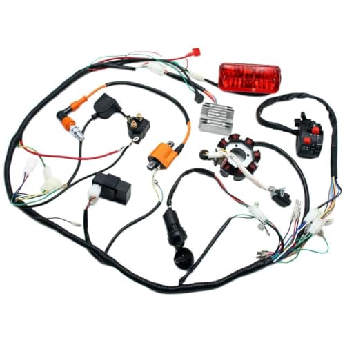 PRO BAT Complete Electrics 4 Stroke Wiring Harness Kit 8 Coil CDI Stator Tail Light for 150cc 200cc 250cc 300cc 4 Wheelers Stroke ATV Go Kart Quad Pit Dirt Bike Zongshen Lifan YX - style: 250 hawk dirt bike wiring harness kit 350cc quad wiring harness wir