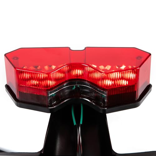 Motorcycle Lighting System Tail Lamp for Lifan Dayun CG125 CG150 CG250 Universal Electrical Rear Brake Stop Flasher Winker - color: Red-2