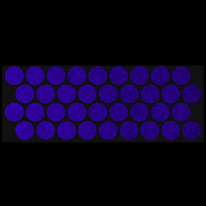 LiteMark Reflective Purple 1 Inch Circle Sticker Decals for Helmets, Bicycles, Strollers, Wheelchairs and More - Pack of 36 - color: Purple