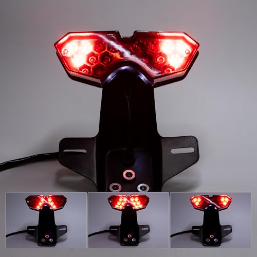 Motorcycle Lighting System Tail Lamp for Lifan Dayun CG125 CG150 CG250 Universal Electrical Rear Brake Stop Flasher Winker - color: Red-2