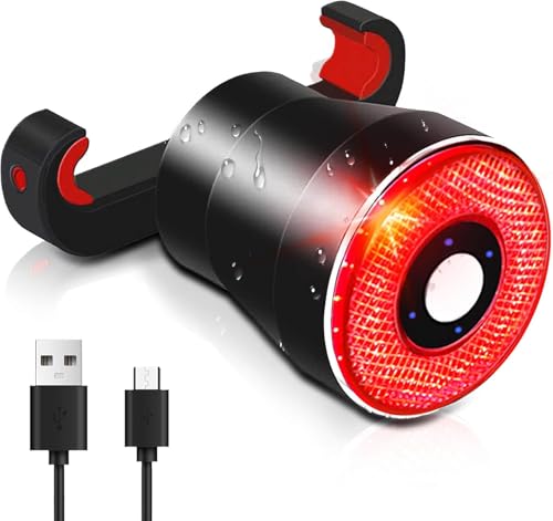 smart Bike Tail Light USB Rechargeable Bicycle Turn Signals with Remote Control Rear Bike Light Waterproof Safety Warning Back Lights Bike Alarm for Night Riding Mountain (Brake Set)