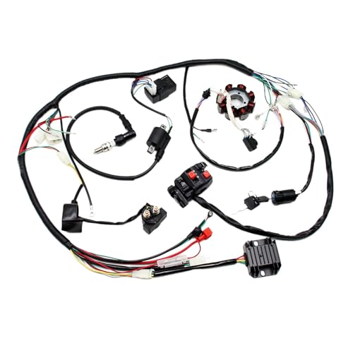 PRO BAT ATV Quad Complete Electrics AC Wire Harness Kit with CG-8 Stator 6-Pin AC CDI ATV Switch Ignition Coil Solenoid Relay Spark Plug for 150cc 200cc 250cc 300cc Zongshen Lifan Black - style: B 8 Pole+ B Ignition Coil+B Rectifier