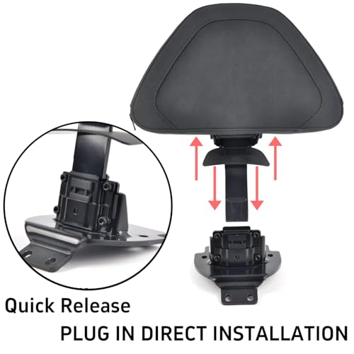 Panical Quick Release Sissy Bar Rider Driver Backrest Back Support Pad For Honda Goldwing GL1800 F6B 2021-2026 Frosted texture