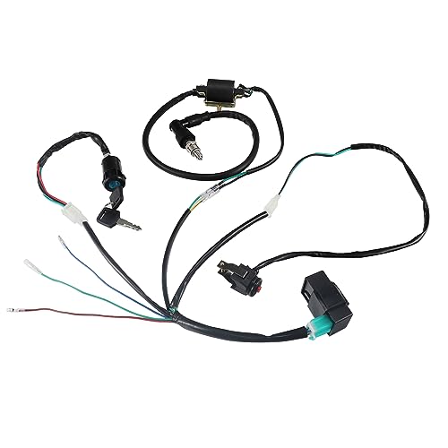 Ignition Coil Wiring Loom Harness Kill Switch Cdi Box Spark Plug Rebuild Kit for Chinese ATV kazuma Tao Tao SSR 50-125cc Kick Start Engine Dirt Pit Bike Motorcycle Parts