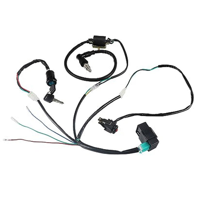 Ignition Coil Wiring Loom Harness Kill Switch Cdi Box Spark Plug Rebuild Kit for Chinese ATV kazuma Tao Tao SSR 50-125cc Kick Start Engine Dirt Pit Bike Motorcycle Parts