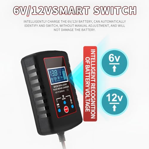 zipelo Car Battery Charger, 6V 12V Automatic Smart Trickle Battery Charger, Intelligent Pulse Repair Charger with ASE Adapter Cable, Battery Desulfator for Motorcycle Lawn Mower Marine