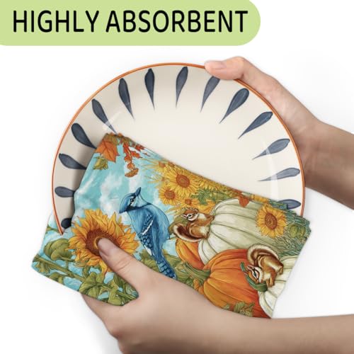 Sunflower Birds Kitchen Towels Set of 2 Autumn Pumpkin Squirrel Dish Towels Bar Absorbent Cleaning Tea Towel for Home Dining Restaurants - color: Sunflower Birds Autumn Pumpkin Squirrel
