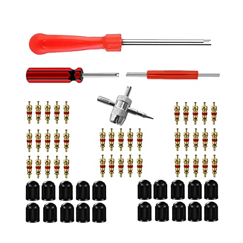AICEL Tire Valve Stem Tool Remover & Installation Set, 40Pcs Valve Cores and 20Pcs Valve Caps, 2Pcs Single Head Tire Valve Core Remover, 1Pcs Dual Head Puller and 4-Way Valve Tool - color: Style A