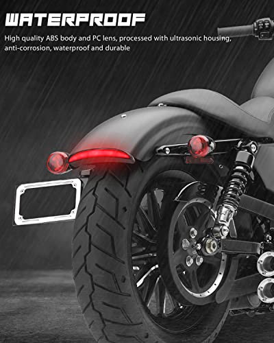 NTHREEAUTO Motorcycle Chopped Rear Fender Edge LED Brake Tail Light Integrated Turn Signals Compatible with Harley Sportster XL883N XL1200N XL1200V XL1200X (Diffused Light) - color: Diffused Light
