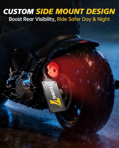 TSUNG Motorcycle LED Tail Brake Light with Side Mount License Plate Bracket, IP67 Waterproof, Polished Finish, Rear Light Assembly (Mesh Kit) - color: Mesh Kit