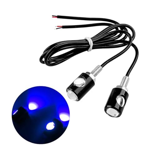 Car License Plate Light, 2PCS 12V 3W Super Bright Waterproof Vehicle License Plate Screw Bolt LED Bulb, Auto Exterior Tag Lights, Universal for SUV Motorcycle Caravan (Blue) - color: Blue